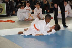5832ea9fb278d_IMG8304