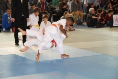 5832eae871f8b_IMG8309