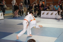 5832eb318f809_IMG8319