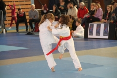 5832ed3703d95_IMG8352