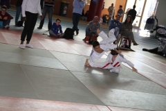 5832ee244c140_IMG8388