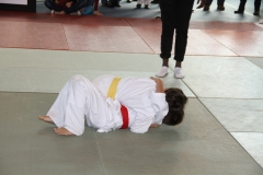 5832ef55a565f_IMG8412