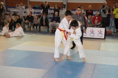 5832efe733b39_IMG8417
