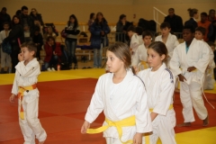 588661e492ecc_IMG9056