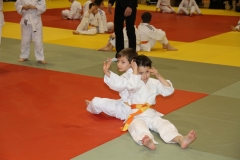 588664da42dd6_IMG9067