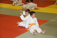 588665ae2413d_IMG9070