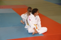 5886667fbeccd_IMG9074