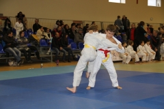 58866b362c51a_IMG9095