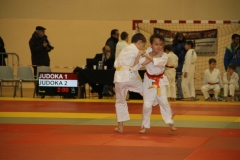 58866c945dccd_IMG9100