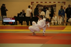 58866cd70ddd3_IMG9101