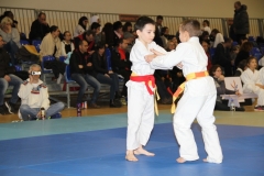 5886701da8efa_IMG9114