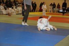5886713817e3f_IMG9118