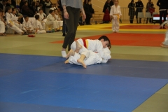 5886717f2aded_IMG9119