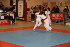 588682b8d0224_IMG9163