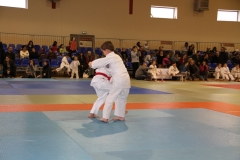 588697d37684e_IMG9229
