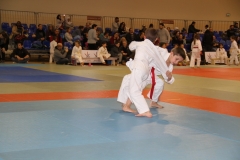 5886999bca405_IMG9234