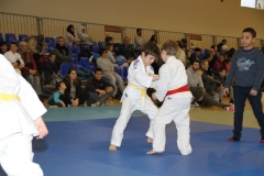 58869b433f8da_IMG9240