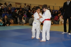 58869d1698f2f_IMG9247