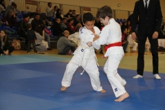 58869d70ea043_IMG9248
