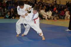 58869dc268147_IMG9249