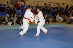 5886a06b48c7a_IMG9258