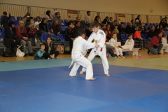 5886a0b31231d_IMG9259