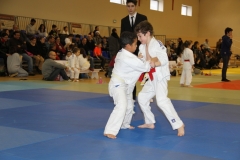 5886a1842bd94_IMG9262