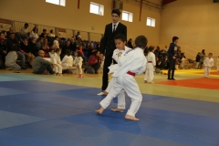 5886a1cae8d5d_IMG9263