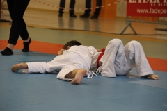 5886a3c06db00_IMG9270