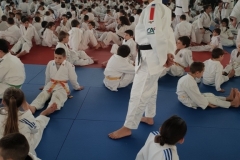 5ddf9db7c5e28_20191127145437