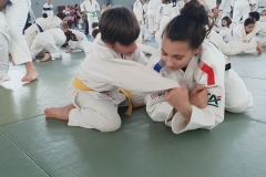 5ddfa6c59e5b5_20191127152129
