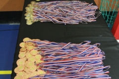 5dca98567bfed_OPENDEPAMIERS201920203