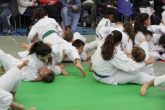 5dcaa45c06d01_OPENDEPAMIERS2019202028