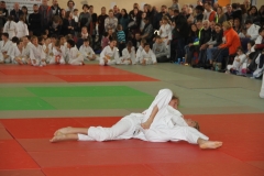 5dcaf73e18793_OPENDEPAMIERS20192020196