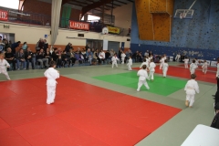 5dcb30b6c33a3_OPENDEPAMIERS20192020297