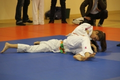 Open de LAVELANET 2018