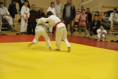 5a5beb5684739_IMG1913