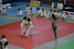 5902db890e263_DSC0523