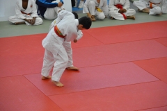 5902dc14a946e_DSC0524
