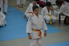 5902dfe43f81b_DSC0532
