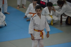 5902e057673bb_DSC0533