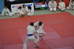 5902e31641253_DSC0539