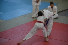 5902e69f5f1fe_DSC0548
