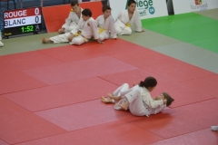 5902fc1d985c4_DSC0628