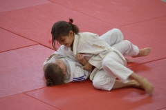 5902fce1beab5_DSC0630