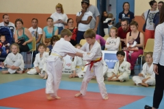 590312d84e83c_DSC0703