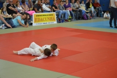 5903132f3f1d6_DSC0704