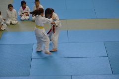 590316fc767a2_DSC0715