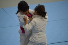 5903195d99ef0_DSC0721