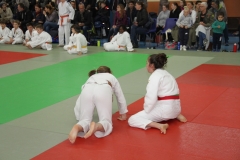 5cac6119dd93c_IMG5167